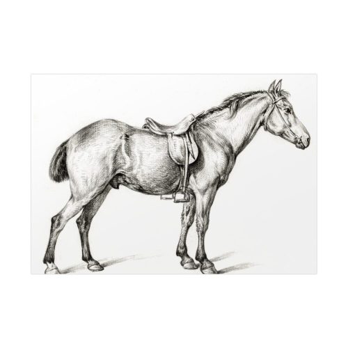 Standing horse by Jean Bernard Poster