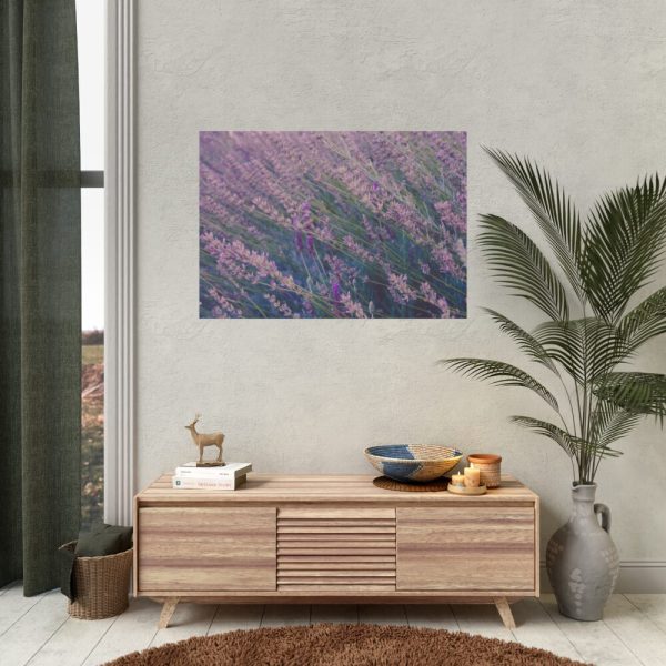 92408-235.jpg Tall Lavender Plants Poster