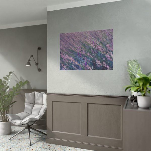 92408-236.jpg Tall Lavender Plants Poster