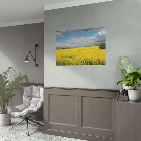 92408-239.jpg Oilseed Rape Field Yellow Poster