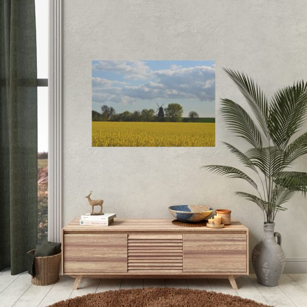 92408-241.jpg Oilseed Rape Field Rapeseeds Poster
