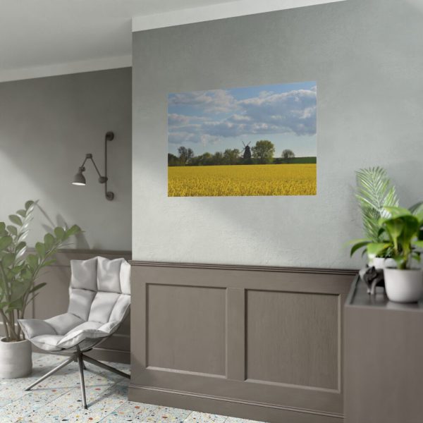 92408-242.jpg Oilseed Rape Field Rapeseeds Poster