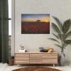 Red Poppies in the Sunset Poster