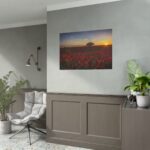 Red Poppies in the Sunset Poster - Image 3