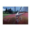 92408-282.jpg Old Rusty Chief Truck Poster