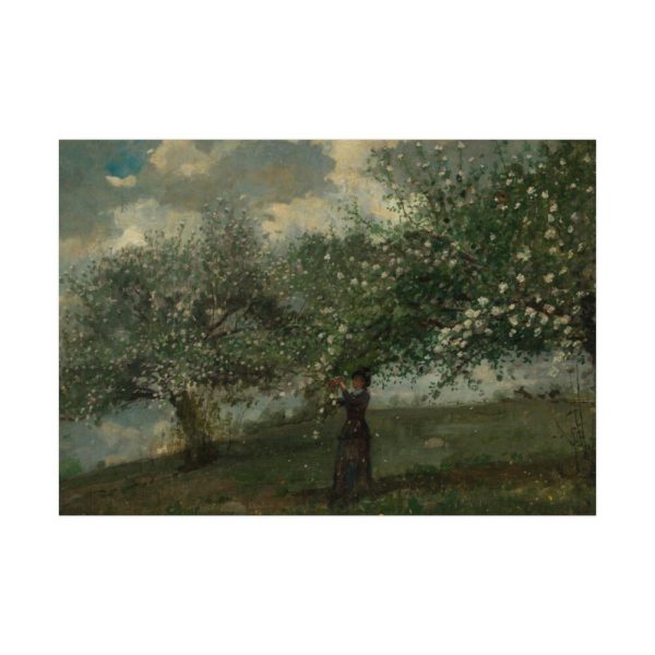 92408-309.jpg Girl Picking Apple Blossoms by Winslow Homer Poster