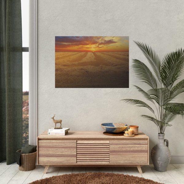 92408-37.jpg Wheat field Poster