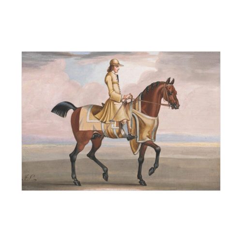 92408-6.jpg A Chestnut Horse at Exercise Poster