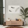 92408-67.jpg Study of Three Feathers Poster