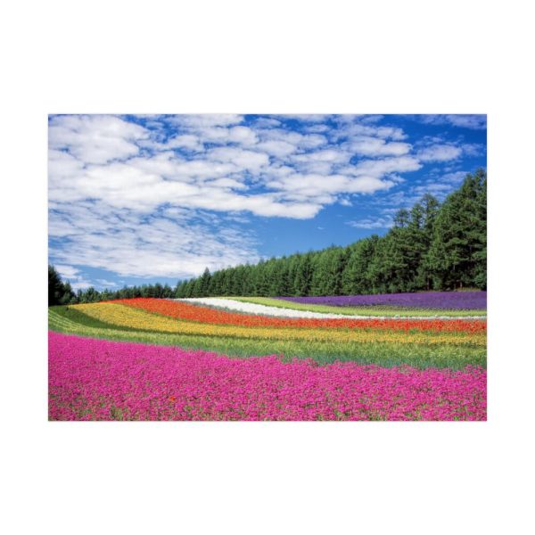 92409-117.jpg Free Tulip Garden Poster