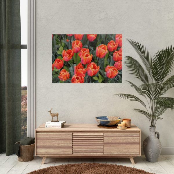 92409-124.jpg Garden Plant Poster
