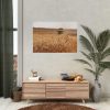Tractor Harvest Grains of Wheat in a Farm Field Poster