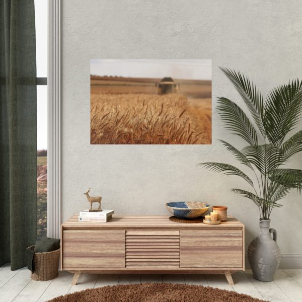 Tractor Harvest Grains of Wheat in a Farm Field Poster