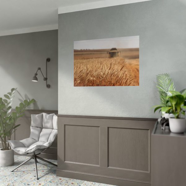Tractor Harvest Grains of Wheat in a Farm Field Poster