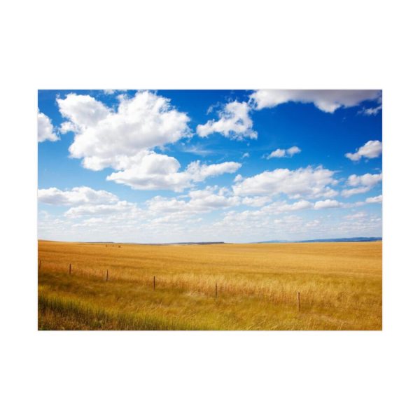 92409-165.jpg South Dakota Rural Scene Poster