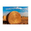 92409-168.jpg Straw Bales Poster