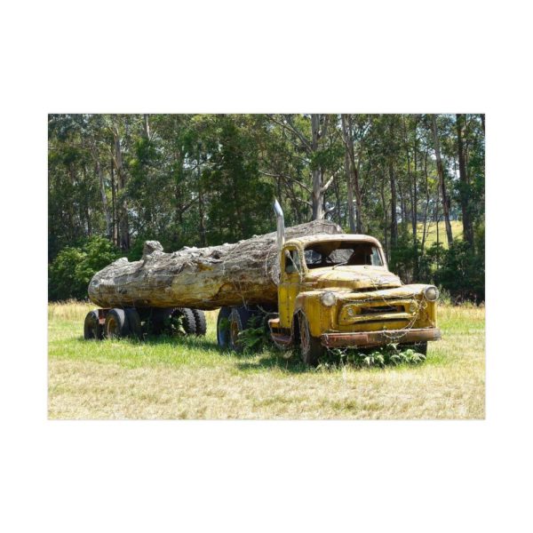 92409-174.jpg Log Truck Wrapped in Wire Poster