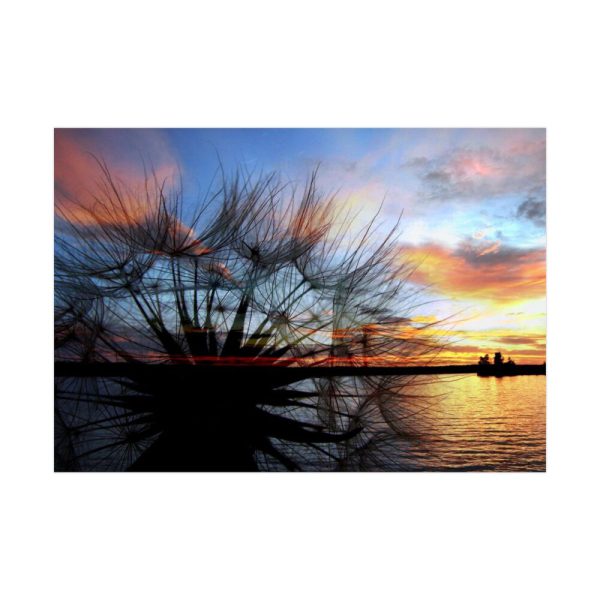 92409-225.jpg Dandelion Sunset Sillhouette Floral Poster