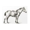 92409-228.jpg Standing horse by Jean Bernard Poster