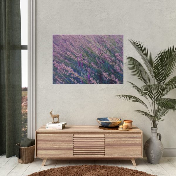 92409-235.jpg Tall Lavender Plants Poster