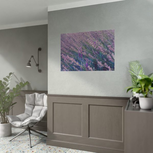 92409-236.jpg Tall Lavender Plants Poster