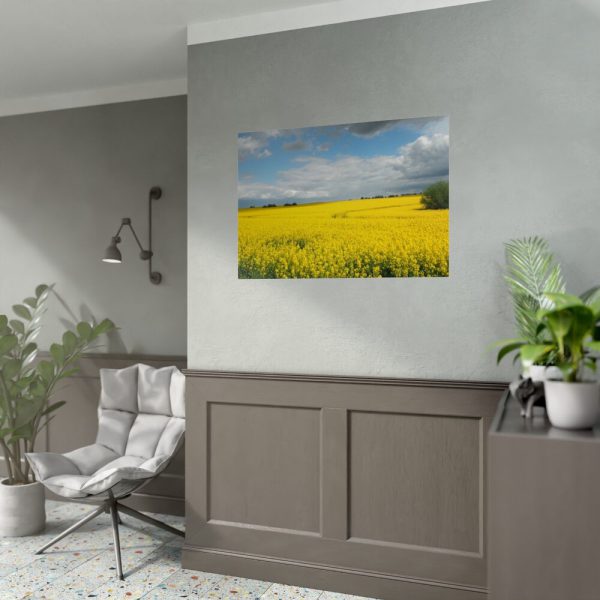 92409-239.jpg Oilseed Rape Field Yellow Poster