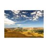 92409-246.jpg Green and Yellow Fields Under Light Clouds Poster