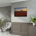 Red Poppies in the Sunset Poster - Image 6