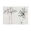 92409-63.jpg Studies of Upas and Maple Trees Poster
