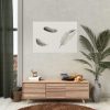 92409-67.jpg Study of Three Feathers Poster