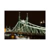 92409-93.jpg Budapest Liberty Bridge Franz Joseph Poster