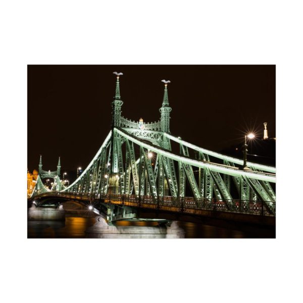 92409-93.jpg Budapest Liberty Bridge Franz Joseph Poster