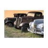 Antique Trucks and Cars Along the Road Poster