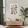 Butterfly & Moth Painting by Paul Gervais Poster
