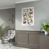 Butterfly & Moth Painting by Paul Gervais Poster