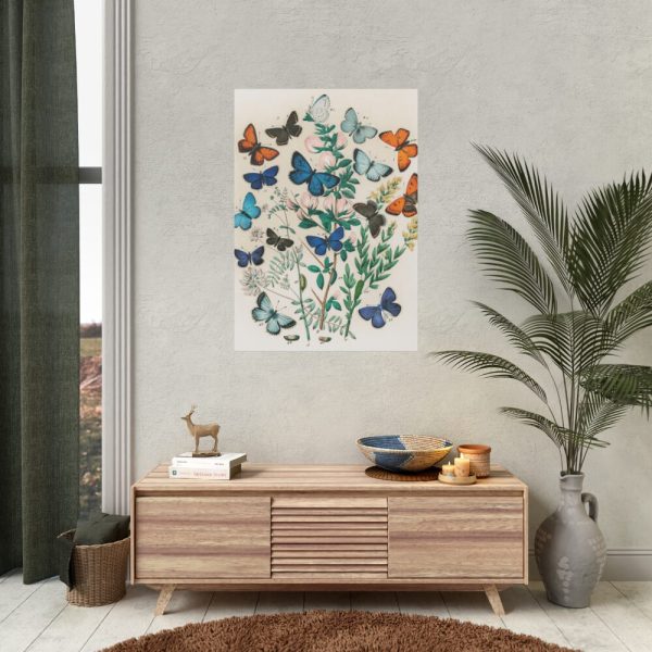 European Butterflies and Moths by William Forsell Kirby Poster