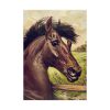 92410-159.jpg Vintage Horse Illustration Poster