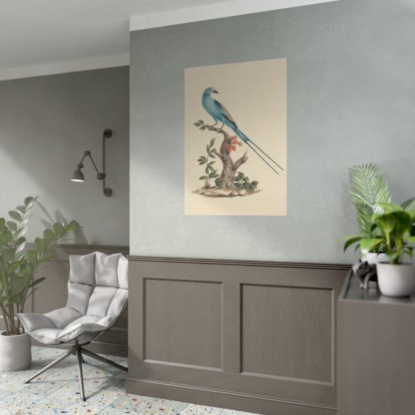 92410-2.jpg Coracias abyssinicus (Abyssinian Roller) Poster