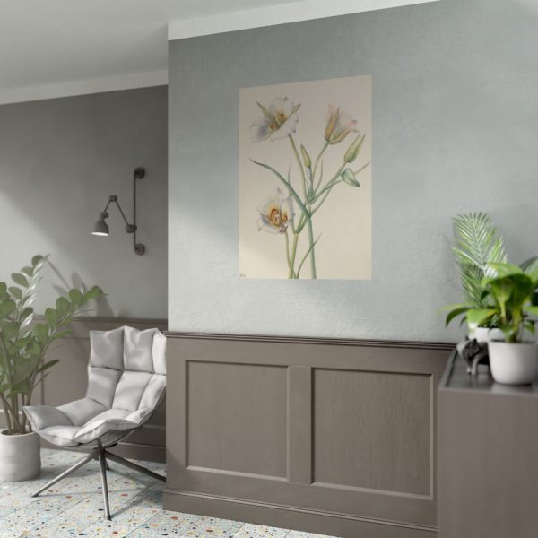 92410-35.jpg Sego Lily by Mary Vaux Walcott Poster