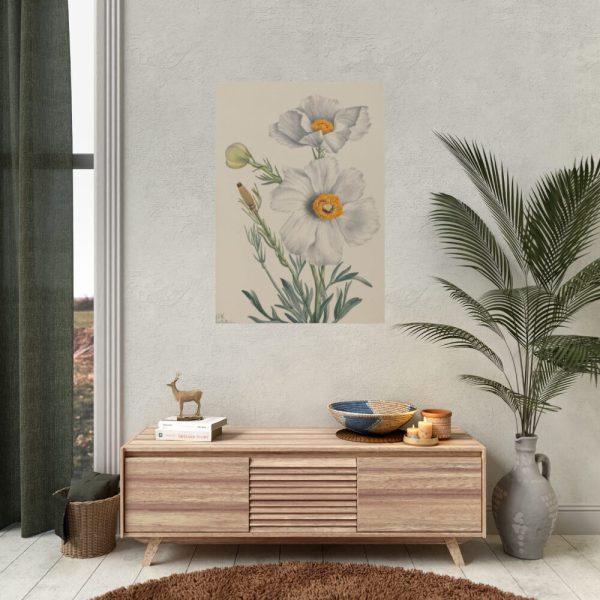 92410-37.jpg Matilija Poppy by Mary Vaux Walcott Poster
