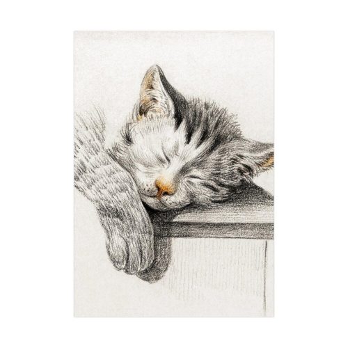 Sketch of a Sleeping Cat  Poster
