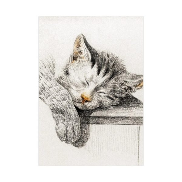 92410-42.jpg Sketch of a Sleeping Cat Poster