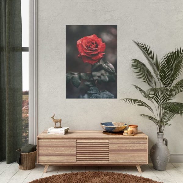 92410-88.jpg Close-up of a Red Rose With Its Petals Poster