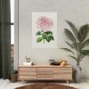 92410-91.jpg Hand Drawn Bengal Rose Poster