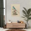 92411-1.jpg Coracias abyssinicus (Abyssinian Roller) Poster