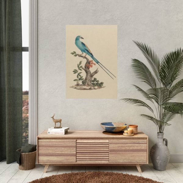 92411-1.jpg Coracias abyssinicus (Abyssinian Roller) Poster
