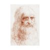 92411-111.jpg Self-portrait by Leonardo da Vinci Poster