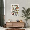 Butterfly & Moth Painting by Paul Gervais Poster