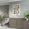 Butterfly & Moth Painting by Paul Gervais Poster