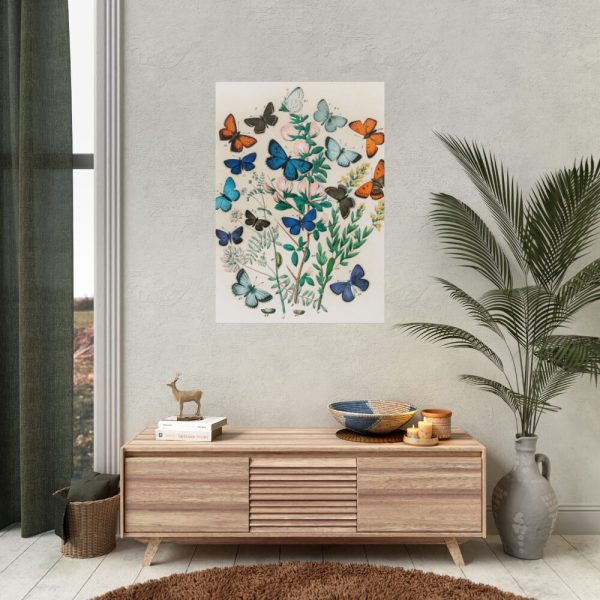 European Butterflies and Moths by William Forsell Kirby Poster